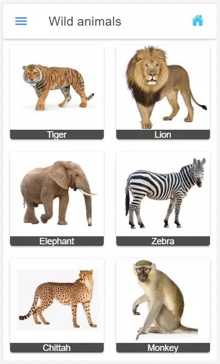general knowledge english APK for Android Download general knowledge english APK for Android Download