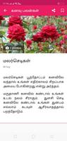 Kanavu Palangal Tamil Screenshot 3