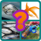 4 Pics 1 Word guess icon