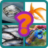 4 Pics 1 Word guess アイコン