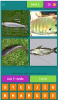 4 Pics 1 Word guess ภาพหน้าจอ 2