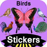 Birds Stickers icon