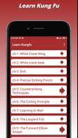 Learn Kungfu capture d'écran 1