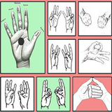 Mudra 图标