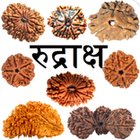 Rudraksha Information