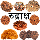 Rudraksha ícone