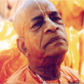 Vedic Wisdom