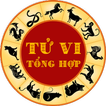 Tu Vi 2019 Ky Hoi