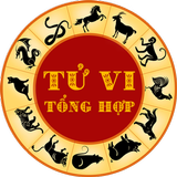 Tu Vi 2019 Ky Hoi 图标