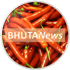 BHUTANews icône