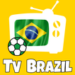 Tv Brasil ao Vivo icono