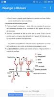 biologie cellulaire Affiche