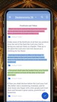 پوستر Amplified Bible