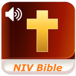 Bible NIV Old & New Testament