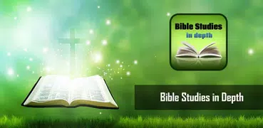 Bible study in depth reference