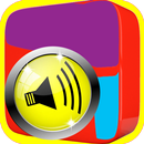 Wolaytta with Swahili English APK