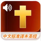 中文圣经 - 标准译本音频版 icon
