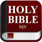 NIV Bible-icoon