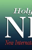 NIV Bible 海报