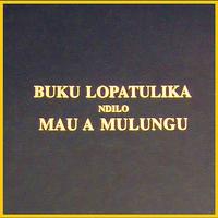 Buku Lopatulika পোস্টার