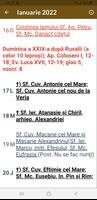 Calendar Ortodox 2022 اسکرین شاٹ 3
