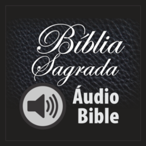 Holy Bible in Audio