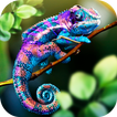 Tắc kè hoa hoang dã Sim 3D