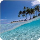 Tropical Cool Wallpaper APK