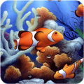 Aquarium Live Wallpaper