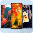 Autumn Wallpaper APK