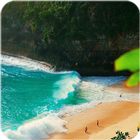 Beach Live Wallpaper icon