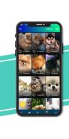 Dog wallpapers - Puppy Wallpapers Affiche