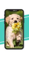 Dog wallpapers - Puppy Wallpapers capture d'écran 1