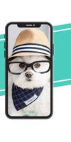 Dog wallpapers - Puppy Wallpapers capture d'écran 2