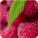 Furit Wallpaper APK