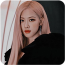 Rose Black pink Kpop Wallpaper APK