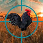 Crazy Chicken Hunt icône