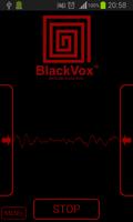 Poster BlackVox 2 Reverb Noise Box