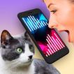”Cat Translator Pet Talk Meow