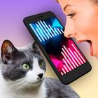 Cat Translator Pet Talk Meow أيقونة