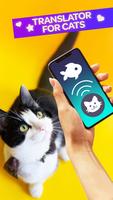 Cat Translator Pet Talk Meow পোস্টার