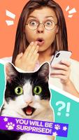 Cat Translator Pet Talk Meow скриншот 1