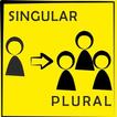 Singular and Plural