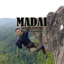 MADAI: Bird Nest The Hidden Wealth APK