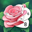 Toque Color Diario APK