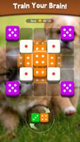 Dice Puzzle ภาพหน้าจอ 3