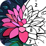 Coloring - color by number