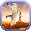 Büyük Kamera Fotoğraf Editörü APK