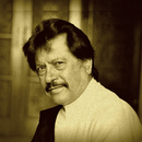 500+ Attaullah Khan Essakhelvi Songs APK