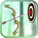 射箭大师 - 箭和弓：罗宾射手 Master Archery games: arrow shoot APK